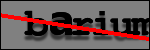 Texte à identifier