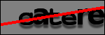Texte à identifier