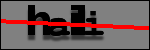 Texte à identifier