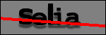 Texte à identifier