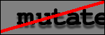 Texte à identifier