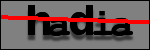 Texte à identifier