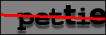 Texte à identifier