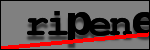 Texte à identifier