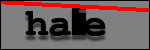 Texte à identifier