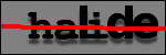 Texte à identifier