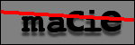 Texte à identifier