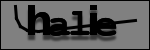 Texte à identifier