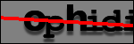 Texte à identifier