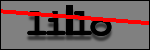 Texte à identifier