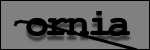 Texte à identifier