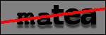 Texte à identifier