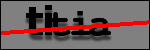 Texte à identifier