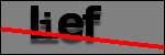 Texte à identifier