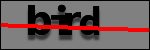 Testo da Identificare