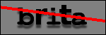 Testo da Identificare
