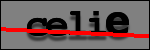 Testo da Identificare