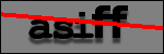 Testo da Identificare