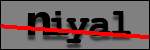 Testo da Identificare