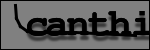 Testo da Identificare