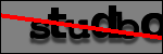 Testo da Identificare