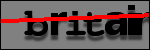 Testo da Identificare