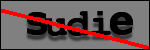 Testo da Identificare