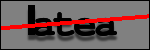 Testo da Identificare