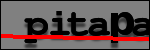 Testo da Identificare