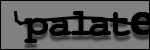 Testo da Identificare