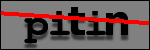 Testo da Identificare