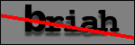 Testo da Identificare