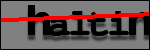 Testo da Identificare