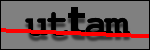 Testo da Identificare