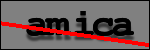 Testo da Identificare