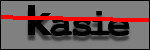 Testo da Identificare