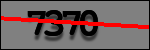 Testo da Identificare