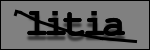 Testo da Identificare
