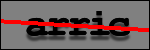 Testo da Identificare
