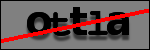 Testo da Identificare