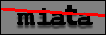 Testo da Identificare