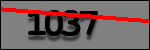 Testo da Identificare