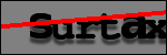 Testo da Identificare