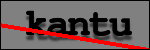 Testo da Identificare