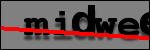Testo da Identificare
