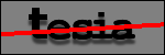 Testo da Identificare