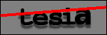 Testo da Identificare