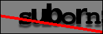 Testo da Identificare