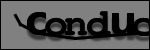 Testo da Identificare