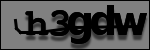 Testo da Identificare